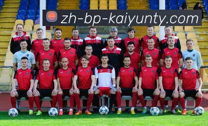 ky开云服务体系